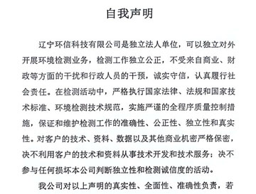 自我聲明